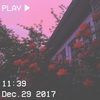 xx_amani